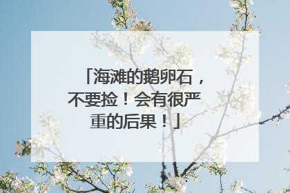 海滩的鹅卵石，不要捡！会有很严重的后果！
