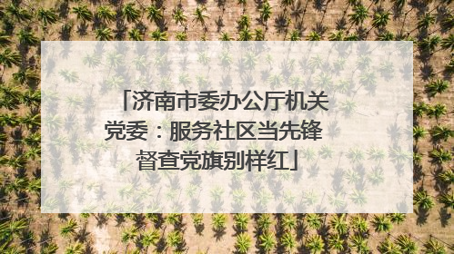济南市委办公厅机关党委：服务社区当先锋 督查党旗别样红