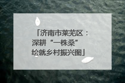 济南市莱芜区：深耕“一株桑” 绘就乡村振兴图