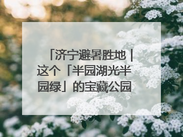 济宁避暑胜地｜这个「半园湖光半园绿」的宝藏公园藏不住了！