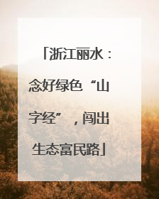 浙江丽水：念好绿色“山字经”，闯出生态富民路