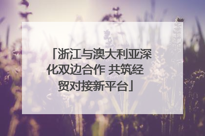浙江与澳大利亚深化双边合作 共筑经贸对接新平台
