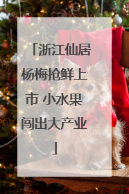 浙江仙居杨梅抢鲜上市 小水果闯出大产业