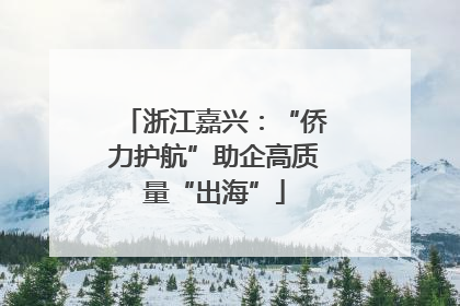 浙江嘉兴：“侨力护航”助企高质量“出海”