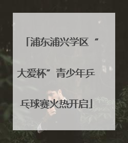 浦东浦兴学区“大爱杯”青少年乒乓球赛火热开启