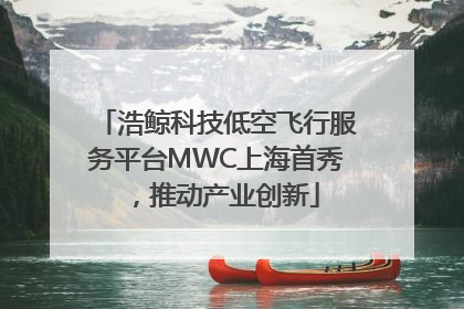 浩鲸科技低空飞行服务平台MWC上海首秀，推动产业创新
