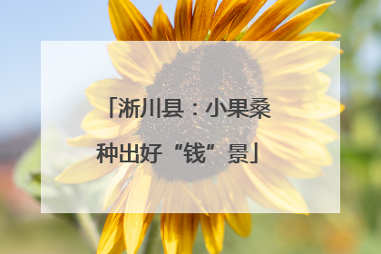 淅川县：小果桑种出好“钱”景