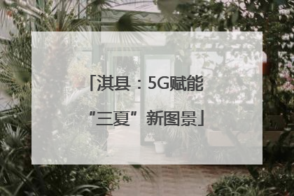 淇县：5G赋能“三夏”新图景