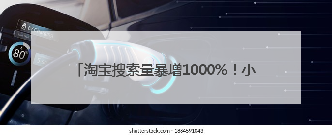 淘宝搜索量暴增1000%！小狗雨衣成江浙沪梅雨季硬通货