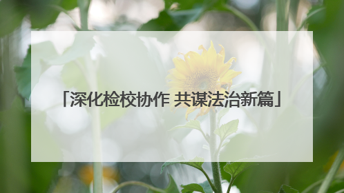深化检校协作 共谋法治新篇