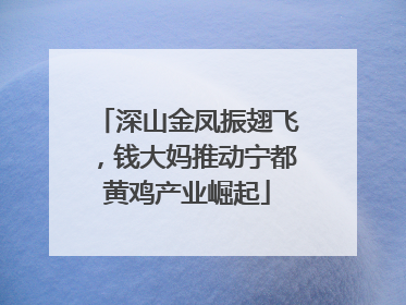 深山金凤振翅飞，钱大妈推动宁都黄鸡产业崛起