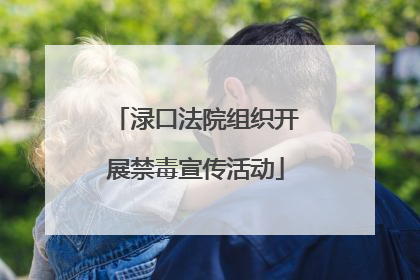 渌口法院组织开展禁毒宣传活动