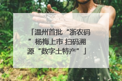 温州首批“浙农码”杨梅上市 扫码溯源“数字土特产”