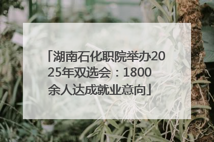 湖南石化职院举办2025年双选会：1800余人达成就业意向