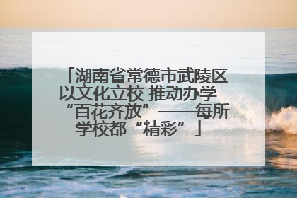 湖南省常德市武陵区以文化立校 推动办学“百花齐放”——每所学校都“精彩”
