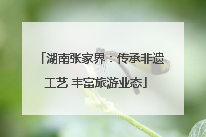 湖南张家界：传承非遗工艺 丰富旅游业态