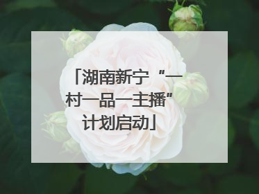 湖南新宁“一村一品一主播”计划启动