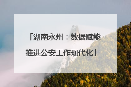 湖南永州：数据赋能推进公安工作现代化