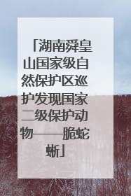 湖南舜皇山国家级自然保护区巡护发现国家二级保护动物——脆蛇蜥
