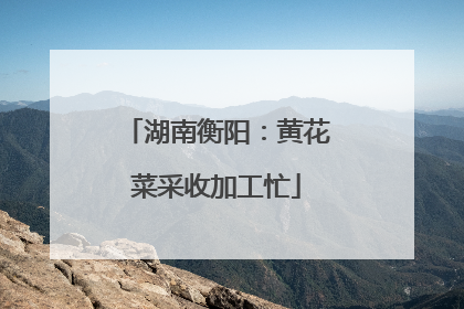 湖南衡阳：黄花菜采收加工忙