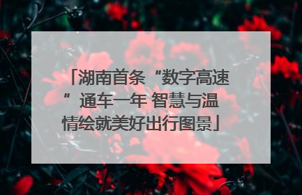 湖南首条“数字高速”通车一年 智慧与温情绘就美好出行图景