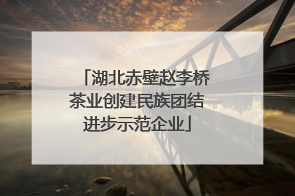 湖北赤壁赵李桥茶业创建民族团结进步示范企业