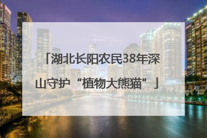 湖北长阳农民38年深山守护“植物大熊猫”
