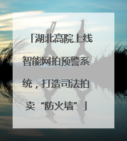 湖北高院上线智能网拍预警系统，打造司法拍卖“防火墙”