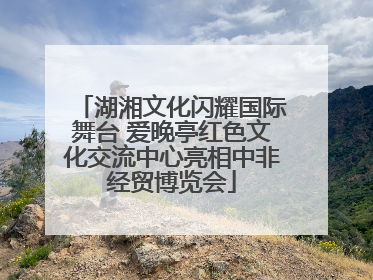 湖湘文化闪耀国际舞台 爱晚亭红色文化交流中心亮相中非经贸博览会