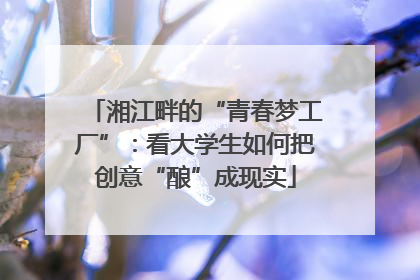 湘江畔的“青春梦工厂”：看大学生如何把创意“酿”成现实