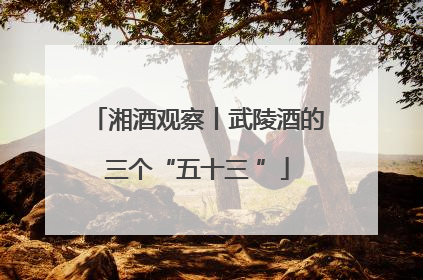 湘酒观察丨武陵酒的三个“五十三 ”