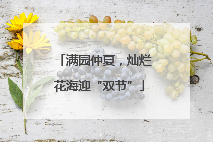 满园仲夏，灿烂花海迎“双节”