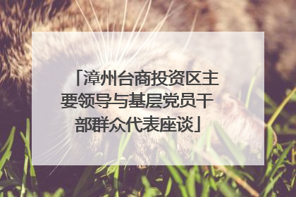 漳州台商投资区主要领导与基层党员干部群众代表座谈