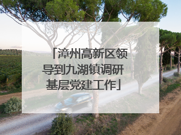 漳州高新区领导到九湖镇调研基层党建工作