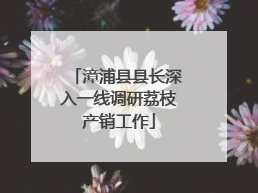 漳浦县县长深入一线调研荔枝产销工作