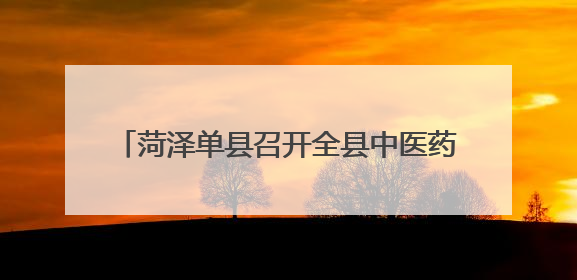 菏泽单县召开全县中医药护佑健康成长行动省级试点暨无偿献血工作会议