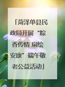 菏泽单县民政局开展“粽香传情 扇绘安康”端午敬老公益活动