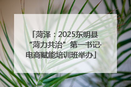 菏泽：2025东明县“菏力共治”第一书记·电商赋能培训班举办
