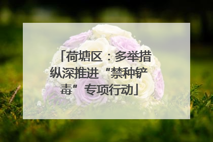 荷塘区：多举措纵深推进“禁种铲毒”专项行动