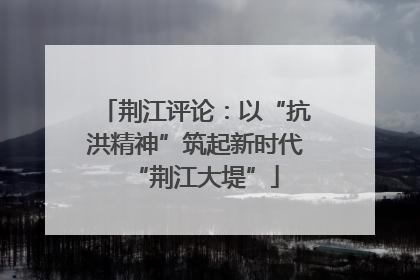 荆江评论：以“抗洪精神”筑起新时代“荆江大堤”