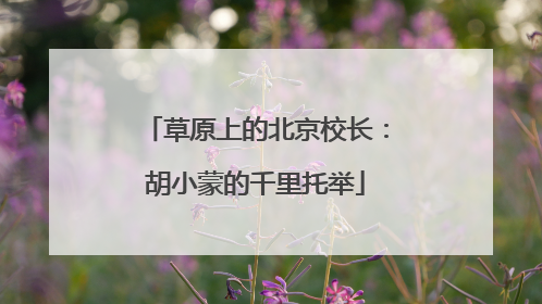 草原上的北京校长：胡小蒙的千里托举