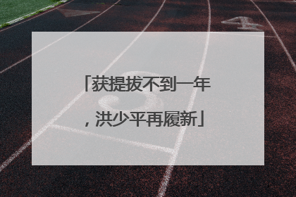 获提拔不到一年，洪少平再履新