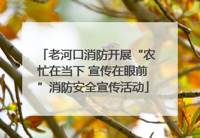 老河口消防开展“农忙在当下 宣传在眼前”消防安全宣传活动