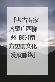 考古专家齐聚广西柳州 探讨南方史前文化发展脉络