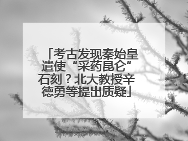 考古发现秦始皇遣使“采药昆仑”石刻？北大教授辛德勇等提出质疑