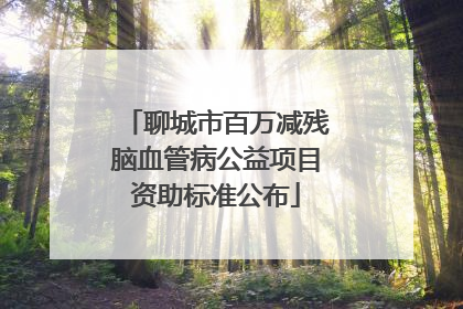 聊城市百万减残脑血管病公益项目资助标准公布
