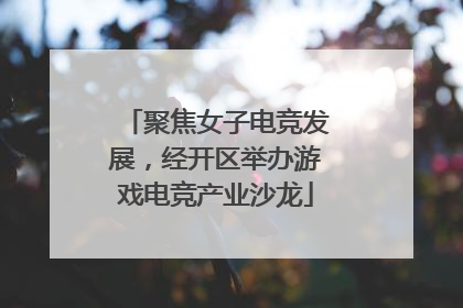 聚焦女子电竞发展，经开区举办游戏电竞产业沙龙