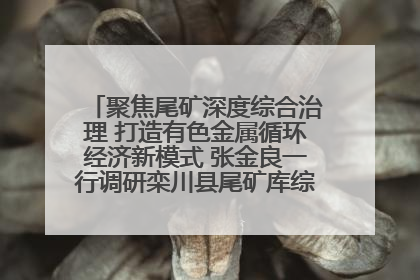 聚焦尾矿深度综合治理 打造有色金属循环经济新模式 张金良一行调研栾川县尾矿库综合治理工作