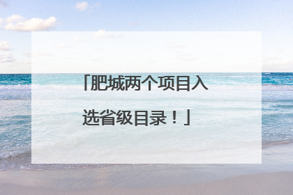肥城两个项目入选省级目录！