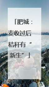 肥城：麦收过后秸秆有“新生”
